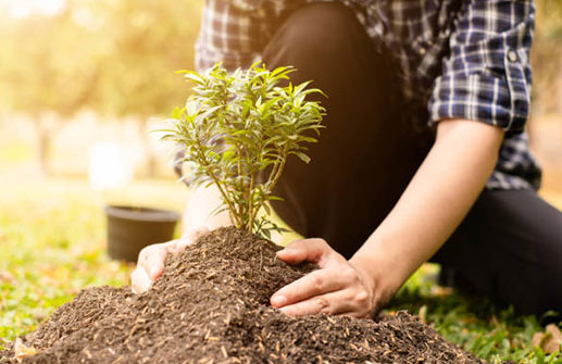 Being committed to environmental stewardship